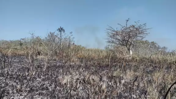 Fue informado que ya liquidaron los puntos activos en 3 kilómetros