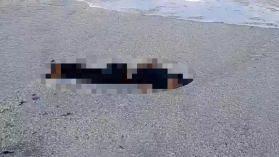 El cuerpo apareció esta mañana en la orilla de la playa de Isla Aguada El cuerpo apareció esta mañana en la orilla de la playa de Isla Aguada