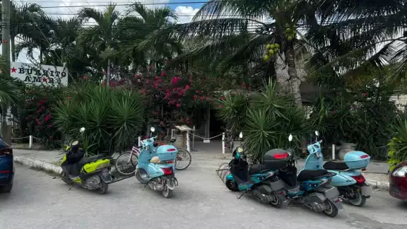 Fuentes policiacas afirman que el líder del Cártel de Caborca vive en el exclusivo complejo Mayakoba, en la Riviera Maya Fuentes policiacas afirman que el líder del Cártel de Caborca vive en el exclusivo complejo Mayakoba, en la Riviera Maya