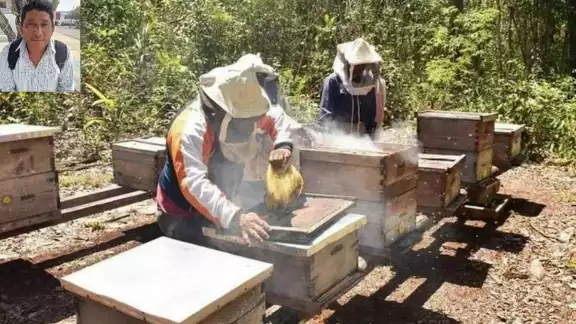 Apicultores de José María Morelos solicitan mejores precios para el próximo año Apicultores de José María Morelos solicitan mejores precios para el próximo año