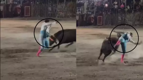 El hombre fue sacado arrastrado del coso taurino El hombre fue sacado arrastrado del coso taurino