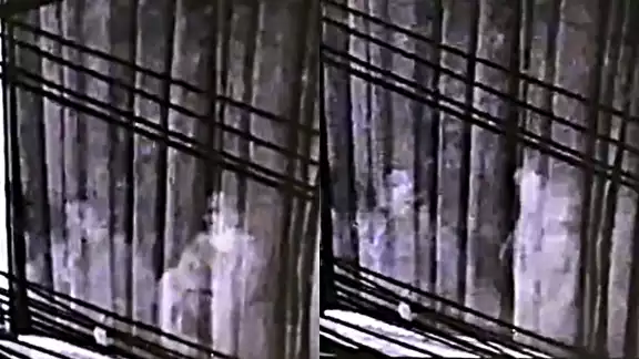 El video fue grabado en 2018, pero fue seis años después cuando se volvió viral El video fue grabado en 2018, pero fue seis años después cuando se volvió viral