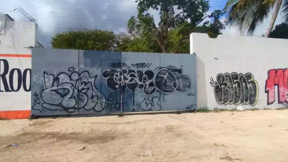 Según la Alcaldesa, los autores son jóvenes integrantes de pandillas o “banditas”. ( Según la Alcaldesa, los autores son jóvenes integrantes de pandillas o “banditas”. (