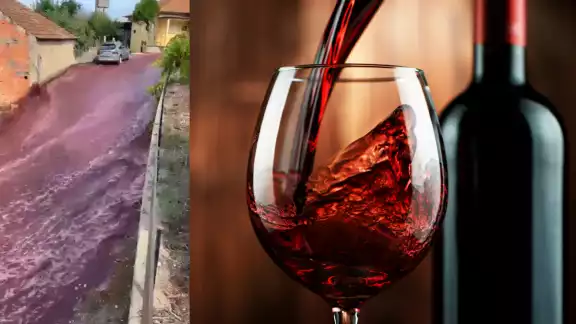 Un sueño realidad para los amantes del vino. Foto: Especial Un sueño realidad para los amantes del vino. Foto: Especial