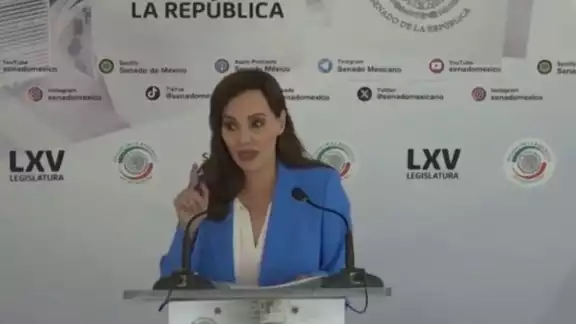 El presidente Andrés Manuel López Obrador calificó de cínicos los comentarios de Téllez, aunque descartó tacharla de traidora a la patria El presidente Andrés Manuel López Obrador calificó de cínicos los comentarios de Téllez, aunque descartó tacharla de traidora a la patria