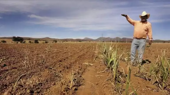 La escasez del agua fue el principal factor que ocasionó pérdidas a las unidades de producción agropecuaria en el país La escasez del agua fue el principal factor que ocasionó pérdidas a las unidades de producción agropecuaria en el país