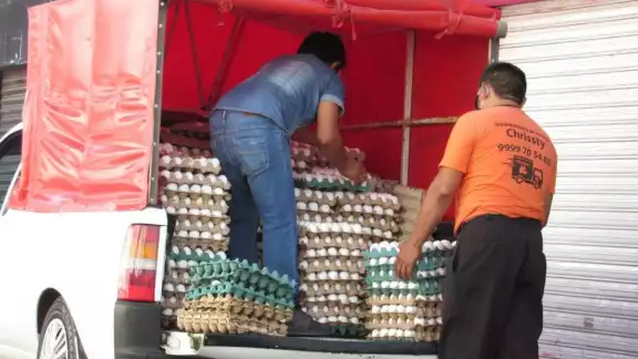 El huevo es considerado uno de los alimentos que integran la canasta básica