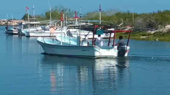 Los pescadores esperan la temporada de pulpo para zarpar