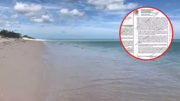 La Semarnat compartió con Por Esto! los documentos oficiales que indican la destrucción que representa Paraíso Sisal La Semarnat compartió con Por Esto! los documentos oficiales que indican la destrucción que representa Paraíso Sisal