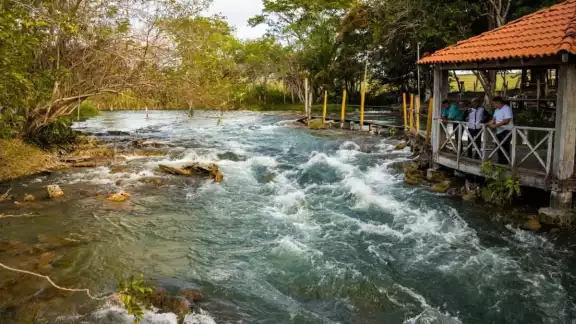 49 mil 500 hectáreas forman parte del Corredor Biológico de Campeche 49 mil 500 hectáreas forman parte del Corredor Biológico de Campeche