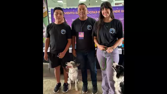 Asimismo, se tendrá la exhibición y competencia de Gallos Azteca o gallos miniatura