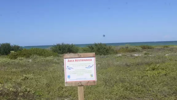 Vecinos de El Cuyo exigen a las autoridades explicar por qué otorgan concesiones en áreas protegidas Vecinos de El Cuyo exigen a las autoridades explicar por qué otorgan concesiones en áreas protegidas