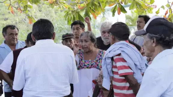 Un fallo judicial reciente, de noviembre pasado, ordenó suspender la construcción de una granja avícola de Bachoco en Peto