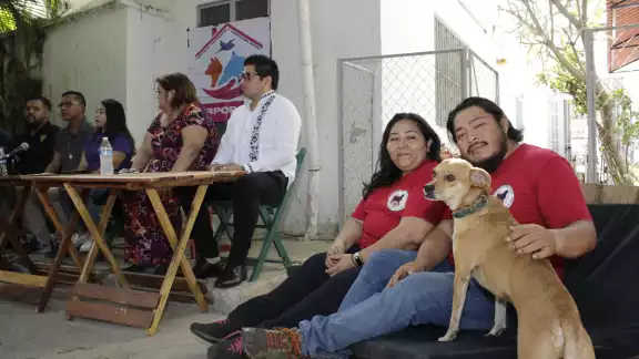 Resaltó que habrá dos caminatas, una de 3 km y la otra de uno para comunidades de perros braquicéfalos