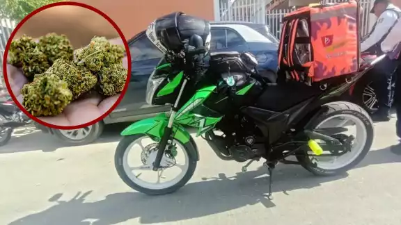 Transportaba dos bolsas con hierba seca, presunta marihuana Transportaba dos bolsas con hierba seca, presunta marihuana