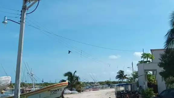 Los afectados piden que el sitio sea atendido por los alcaldes de ambos municipios Los afectados piden que el sitio sea atendido por los alcaldes de ambos municipios