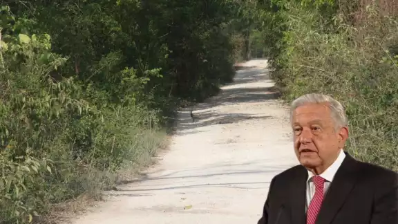 El proyecto cuenta con el respaldo presidencial El proyecto cuenta con el respaldo presidencial
