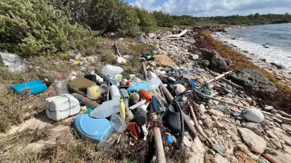 Jeringas usadas fueron halladas entre la basura en Mahahual