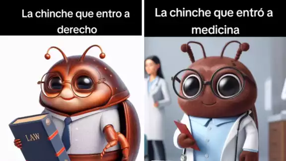 Lo divertido es ver como salen las chinches de la UNAM