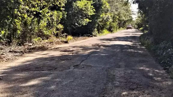 Son poco más de 3.5 kilómetros de camino de San Francisco a esta comunidad, el cual tiene importante deterioro, que va en aumento. Son poco más de 3.5 kilómetros de camino de San Francisco a esta comunidad, el cual tiene importante deterioro, que va en aumento.