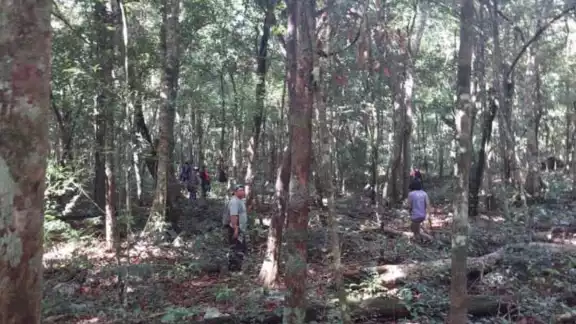 Los familiares reportaron la desaparición cuatro cuatro días después Los familiares reportaron la desaparición cuatro cuatro días después