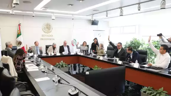 La Comisión de Justicia, en el Senado determinó que las aspirantes a cubrir la vacante en la SCJN cumplen con los requisitos constitucionales y legales para el cargo. La Comisión de Justicia, en el Senado determinó que las aspirantes a cubrir la vacante en la SCJN cumplen con los requisitos constitucionales y legales para el cargo.