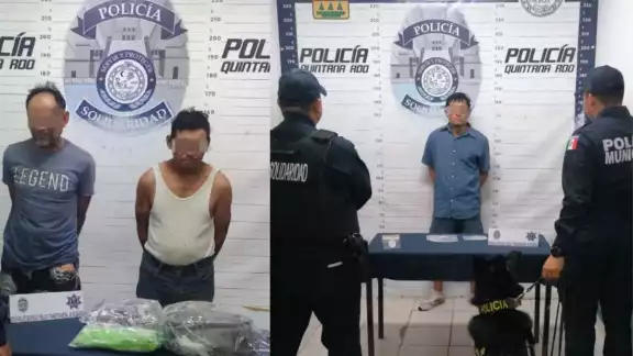 Los posibles narcóticos y sujetos asegurados fueron trasladados a los separos de Seguridad Pública