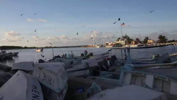 Hombres de mar se sienten más seguros dedicándose a los paseos en lancha Hombres de mar se sienten más seguros dedicándose a los paseos en lancha