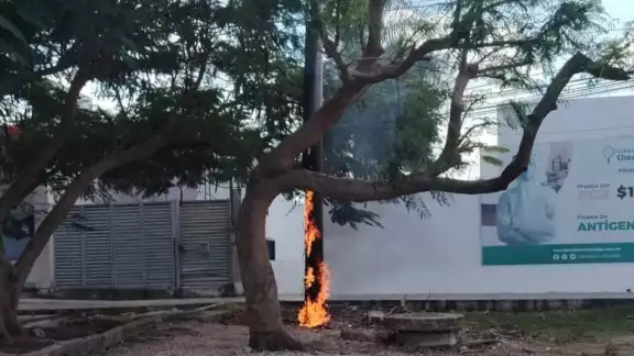 El reporte del incendio en Caucel circula en redes sociales El reporte del incendio en Caucel circula en redes sociales