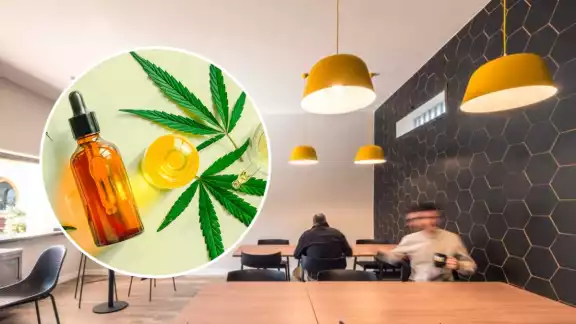 La cafetería se ha hecho tendencia en Puebla La cafetería se ha hecho tendencia en Puebla