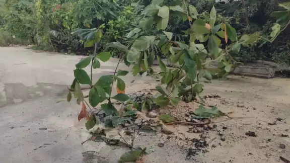 El agua acumulada ha invadido predios adyacentes e incluso se infiltró dentro de una palapa que afortunadamente está deshabitada en la zona.