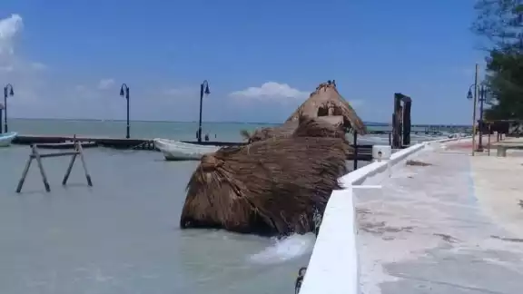 Durante la última semana se cayeron cerca de siete palapas Durante la última semana se cayeron cerca de siete palapas
