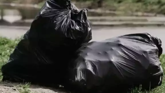 Se desconoce la identidad de la víctima descuartizada en Zacatecas Se desconoce la identidad de la víctima descuartizada en Zacatecas