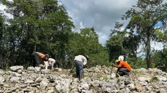 Hallan nuevas estructuras mayas en paraíso prehispánico en Yucatán Hallan nuevas estructuras mayas en paraíso prehispánico en Yucatán