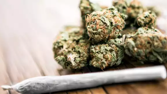 Te contamos que significa este día el 420. Foto: Especial