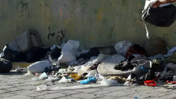 Los Ayuntamientos han sido denunciados ante la Fiscalía Especializada en Delitos contra los Animales