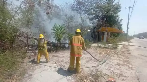 Bomberos de Ciudad del Carmen lograron controlar la situación Bomberos de Ciudad del Carmen lograron controlar la situación