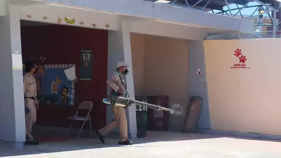 Durante el 2023 se propagó considerablemente, ya que en comparación con el 2022 se registraron 394 probables casos de esta enfermedad Durante el 2023 se propagó considerablemente, ya que en comparación con el 2022 se registraron 394 probables casos de esta enfermedad