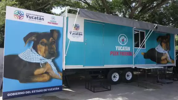 Antes era menos visible la cultura de la tenencia responsable y eran pocos los que esterilizaban a sus mascotas