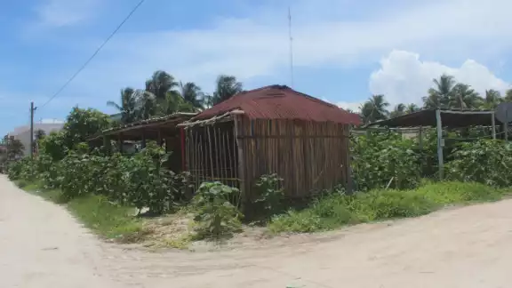 Debido al peligro que representan dichos solares se buscará la manera de que los propietarios limpien dichos lotes Debido al peligro que representan dichos solares se buscará la manera de que los propietarios limpien dichos lotes