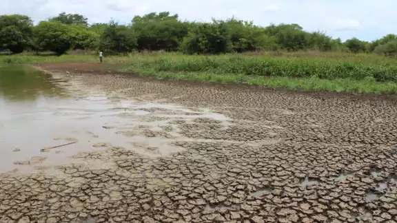 Yucatán enfrenta una situación crítica por falta de lluvias Yucatán enfrenta una situación crítica por falta de lluvias