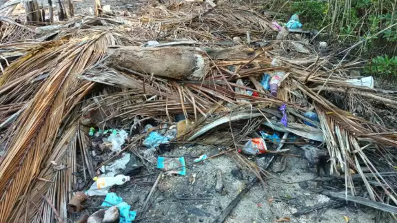 Vecinos cercanos afirmaron que muy rara la vez se realizan los trabajos de limpieza Vecinos cercanos afirmaron que muy rara la vez se realizan los trabajos de limpieza