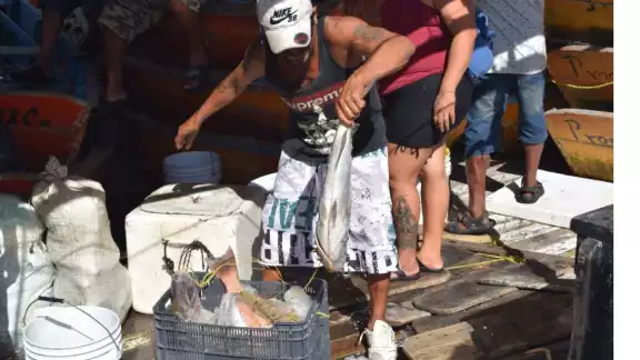 Primero de febrero inicia temporada de veda para el mero en la costa de Yucatán Primero de febrero inicia temporada de veda para el mero en la costa de Yucatán