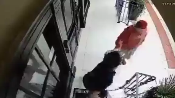 En Brasil un joven se defiende de asalto y mata al ladrón de un golpe En Brasil un joven se defiende de asalto y mata al ladrón de un golpe