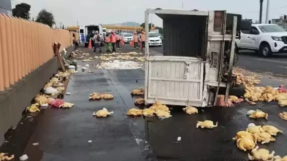El accidente fue reportado por Capufe, quien pidió tener cuidado El accidente fue reportado por Capufe, quien pidió tener cuidado