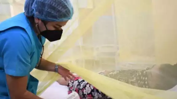 El incremento de casos y fallecidos por dengue en Perú, ponen en alerta a la población