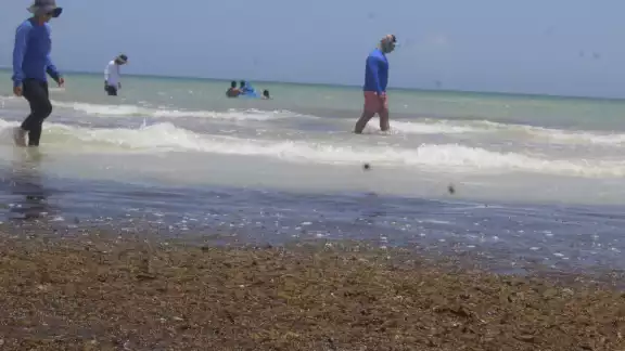 Marineros temen que estos fenómenos puedan ahuyentar a las especies que habitan el océano Marineros temen que estos fenómenos puedan ahuyentar a las especies que habitan el océano