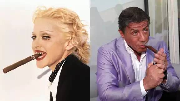 Madonna y Sylvester Stallone son parte de los famosos que consumen habanos Madonna y Sylvester Stallone son parte de los famosos que consumen habanos