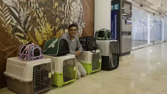 Llegó con 11 perros y decidió que uno más de Cancún se integrara a su manada Llegó con 11 perros y decidió que uno más de Cancún se integrara a su manada
