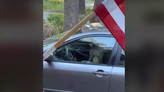 El animal pasó un buen rato dentro. Foto: Especial El animal pasó un buen rato dentro. Foto: Especial